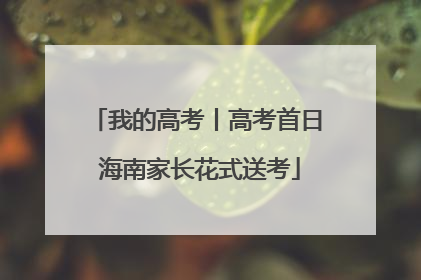 我的高考丨高考首日 海南家长花式送考