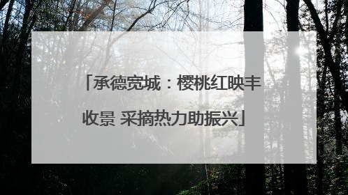 承德宽城：樱桃红映丰收景 采摘热力助振兴