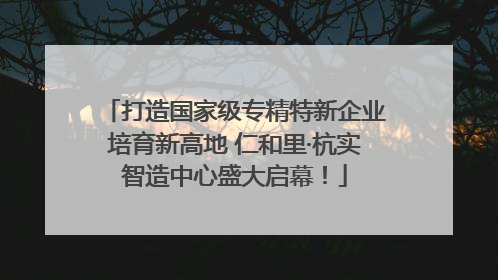 打造国家级专精特新企业培育新高地 仁和里·杭实智造中心盛大启幕！