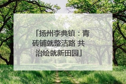 扬州李典镇：青砖铺就整洁路 共治绘就新田园