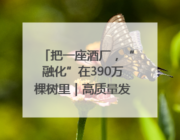 把一座酒厂，“融化”在390万棵树里｜高质量发展看川酒｜舍得酒｜舍得酒业｜舍得老酒｜沱牌酒