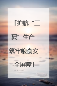 护航“三夏”生产 筑牢粮食安全屏障