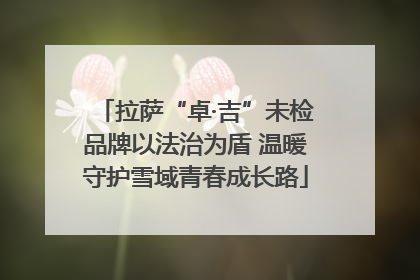 拉萨“卓·吉”未检品牌以法治为盾 温暖守护雪域青春成长路