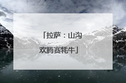 拉萨：山沟欢腾赛牦牛