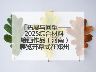 拓展与回望——2025综合材料绘画作品（河南）展览开幕式在郑州美术馆举办