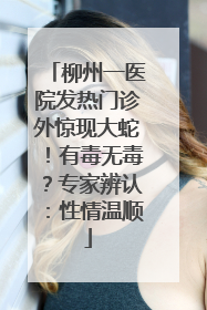 柳州一医院发热门诊外惊现大蛇！有毒无毒？专家辨认：性情温顺