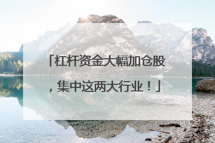 杠杆资金大幅加仓股，集中这两大行业！