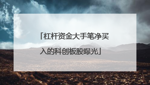 杠杆资金大手笔净买入的科创板股曝光