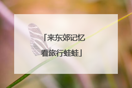 来东郊记忆 看旅行蛙蛙