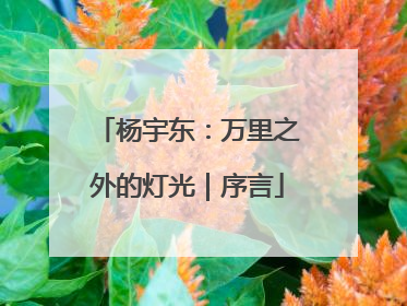 杨宇东：万里之外的灯光｜序言