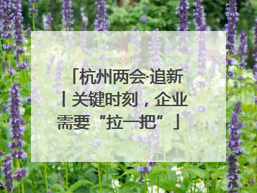 杭州两会·追新丨关键时刻，企业需要“拉一把”