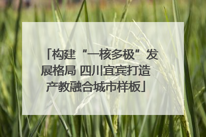 构建“一核多极”发展格局 四川宜宾打造产教融合城市样板