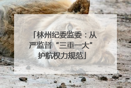 林州纪委监委：从严监督“三重一大” 护航权力规范