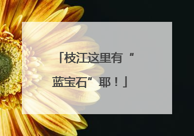 枝江这里有“蓝宝石”耶！