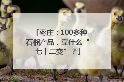 枣庄：100多种石榴产品，靠什么“七十二变”？