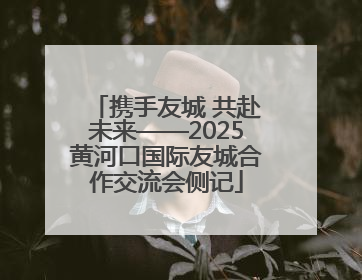 携手友城 共赴未来——2025黄河口国际友城合作交流会侧记