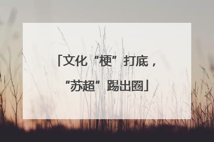文化“梗”打底，“苏超”踢出圈