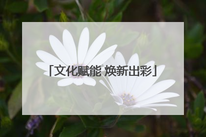 文化赋能 焕新出彩