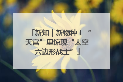 新知｜新物种！“天宫”里惊现“太空六边形战士”