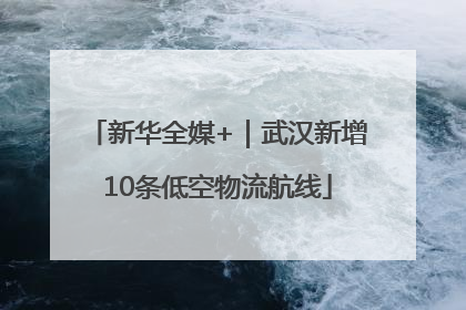 新华全媒+｜武汉新增10条低空物流航线