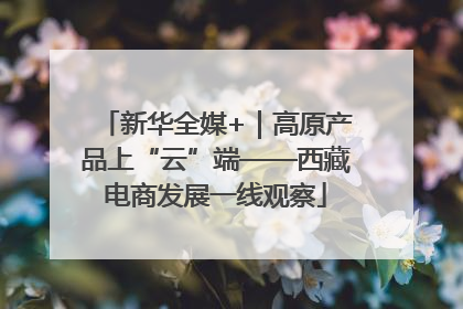 新华全媒+｜高原产品上“云”端——西藏电商发展一线观察