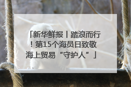 新华鲜报丨踏浪而行！第15个海员日致敬海上贸易“守护人”