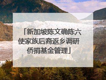 新加坡陈文确陈六使家族后裔返乡调研侨捐基金管理