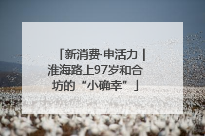 新消费·申活力｜淮海路上97岁和合坊的“小确幸”