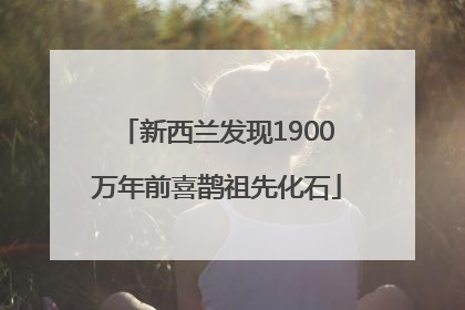 新西兰发现1900万年前喜鹊祖先化石