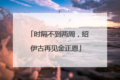 时隔不到两周，绍伊古再见金正恩