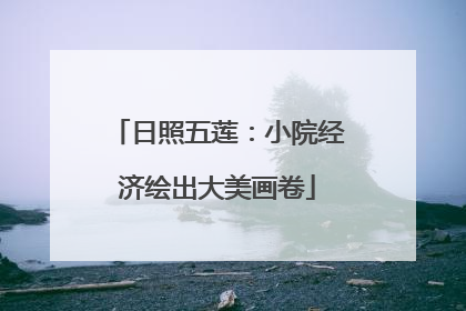 日照五莲：小院经济绘出大美画卷