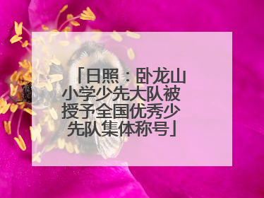 日照：卧龙山小学少先大队被授予全国优秀少先队集体称号