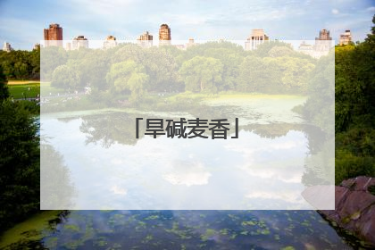 旱碱麦香