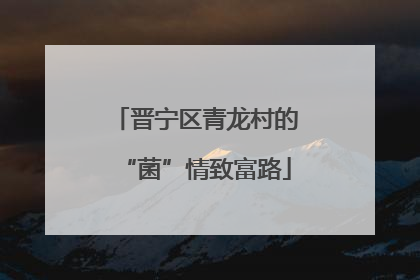 晋宁区青龙村的“菌”情致富路