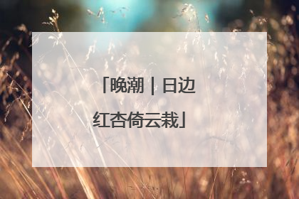 晚潮｜日边红杏倚云栽
