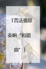 普法强基奏响“和谐曲”