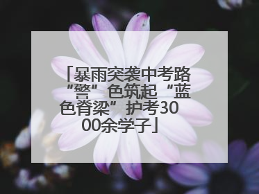 暴雨突袭中考路“警”色筑起“蓝色脊梁”护考3000余学子