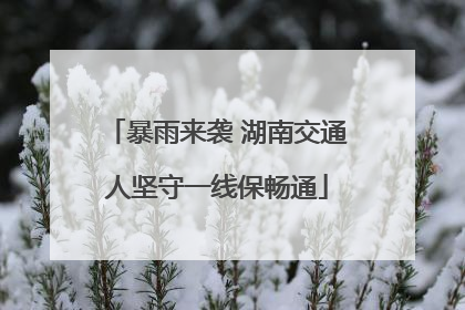暴雨来袭 湖南交通人坚守一线保畅通