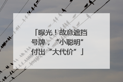 曝光！故意遮挡号牌，“小聪明”付出“大代价”