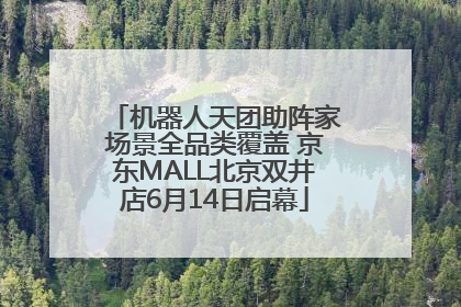 机器人天团助阵家场景全品类覆盖 京东MALL北京双井店6月14日启幕