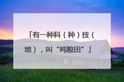 有一种科（种）技（地），叫“吨粮田”