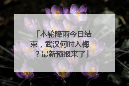 本轮降雨今日结束，武汉何时入梅？最新预报来了