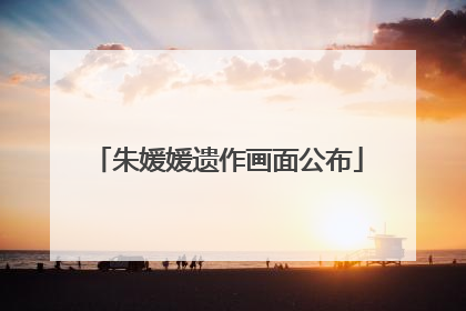 朱媛媛遗作画面公布