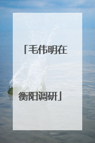 毛伟明在衡阳调研