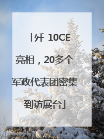 歼-10CE亮相，20多个军政代表团密集到访展台