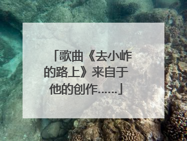 歌曲《去小岞的路上》来自于他的创作……