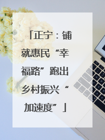 正宁：铺就惠民“幸福路”跑出乡村振兴“加速度”
