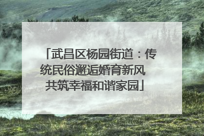 武昌区杨园街道：传统民俗邂逅婚育新风 共筑幸福和谐家园