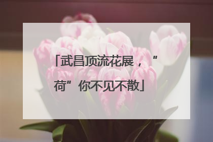 武昌顶流花展，“荷”你不见不散
