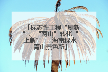 标志性工程“刷新”、“两山”转化“上新”……海南绿水青山景色新